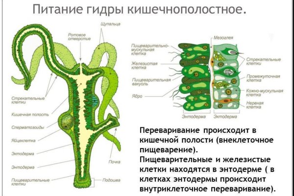 Кракен zerkalo pw